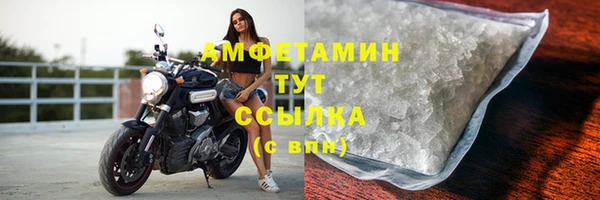 сатива Кулебаки