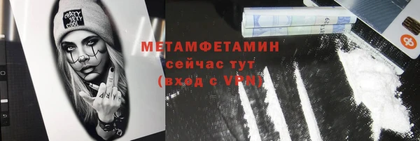 сатива Кулебаки