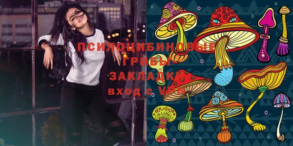 сатива Кулебаки