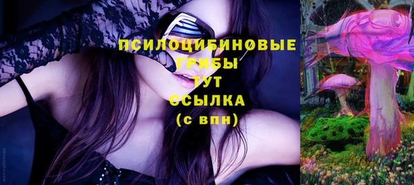 сатива Кулебаки
