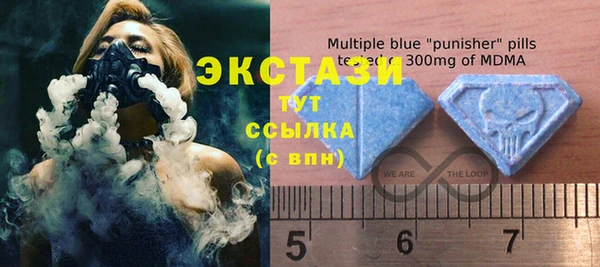 сатива Кулебаки