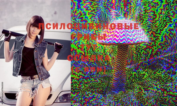 MDMA Кукмор