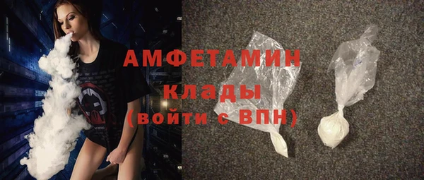 сатива Кулебаки