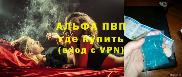 сатива Кулебаки