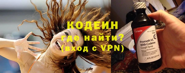 сатива Кулебаки