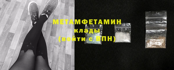 сатива Кулебаки