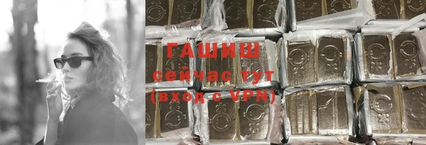 сатива Кулебаки