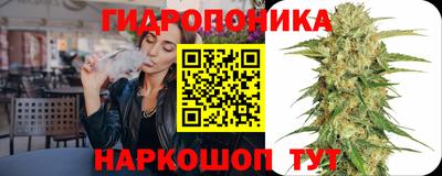 бошки Кинель
