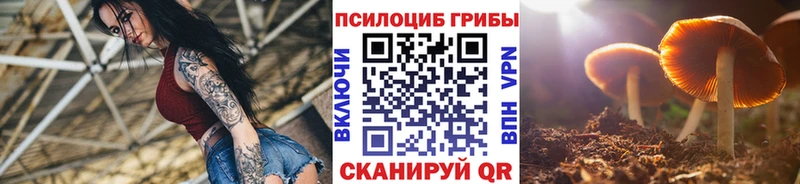 Псилоцибиновые грибы ЛСД  shop телеграм  Самара 