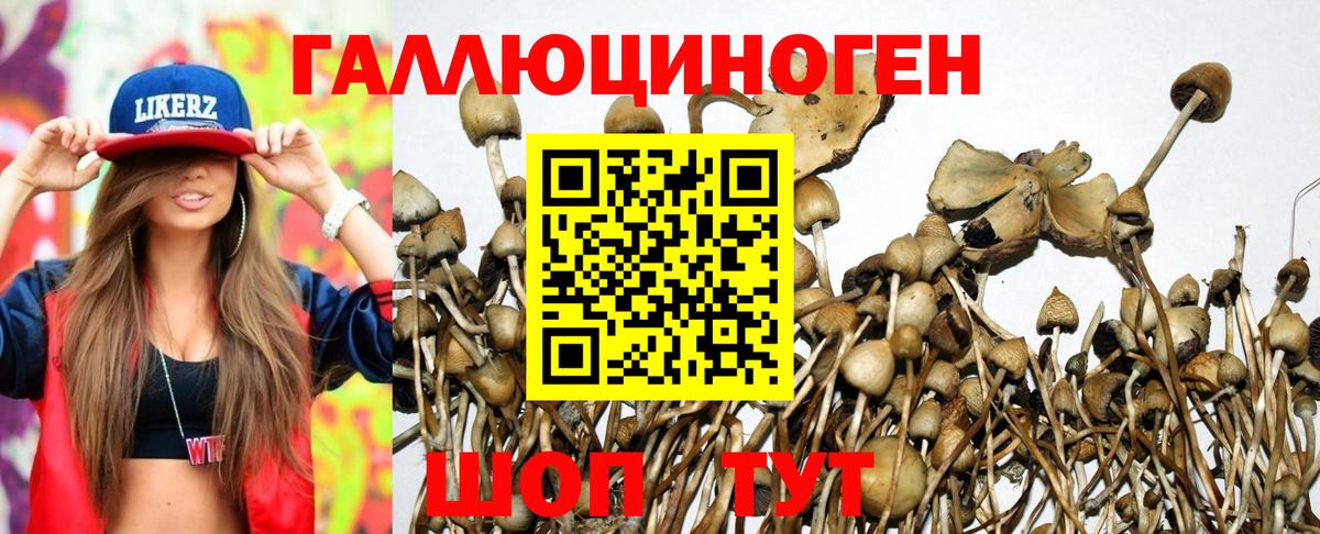Самара  Галлюциногенные грибы MAGIC MUSHROOMS  Вход с VPN 